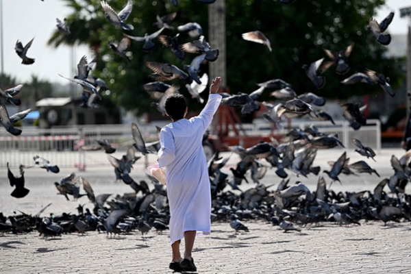 Global Unity vs. Survival of the Fittest: Humanity's 2026 Crossroads 🌍