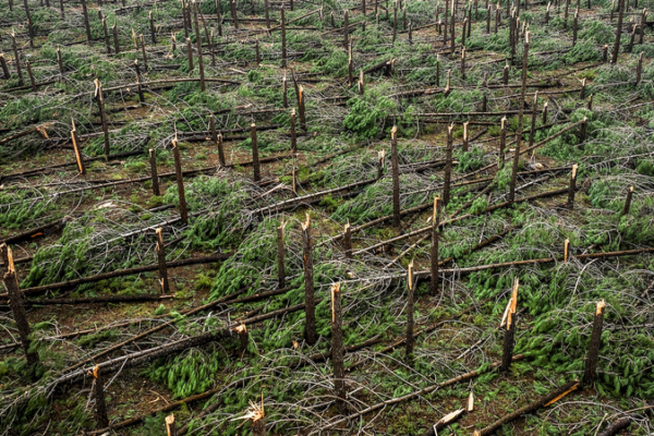 Portugal Storms Claim 11 Lives as Extreme Weather Batters Region 🌧️⚡