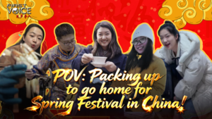 Spring Festival Vibes: A Cultural Journey Across China 🎆 video poster