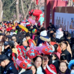 Taiyuan Temple Fair 2026: A Cultural Feast Lights Up Spring Festival 🏮✨ video poster