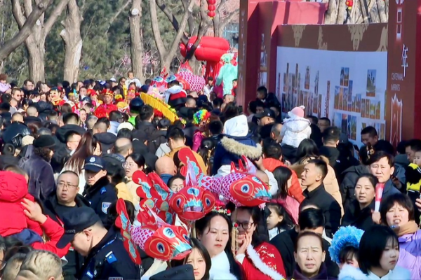 Taiyuan Temple Fair 2026: A Cultural Feast Lights Up Spring Festival 🏮✨ video poster