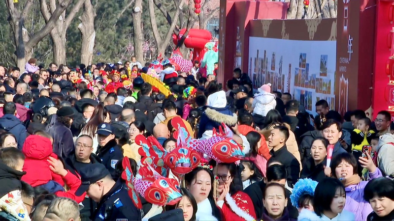 Taiyuan Temple Fair 2026: A Cultural Feast Lights Up Spring Festival 🏮✨ video poster