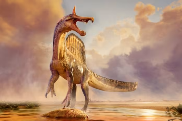 Giant 'Hell Heron' Dinosaur Discovered in Sahara Stuns Scientists 🦖🌍