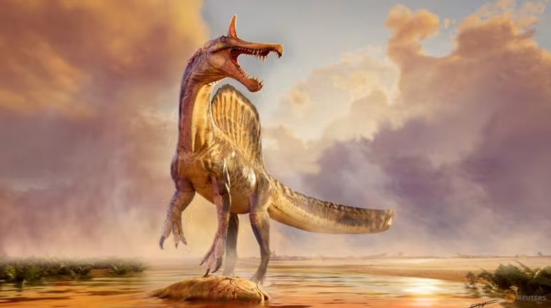 73M87ECD24I4RZ2OZABP - 🌍NewspaperAmigo – Your Global News Buddy 🗞️ Giant 'Hell Heron' Dinosaur Discovered in Sahara Stuns Scientists 🦖🌍