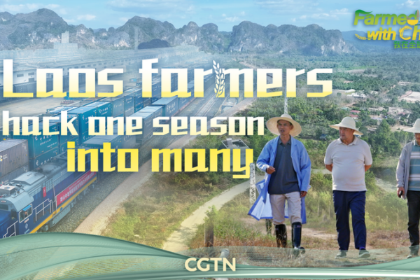 Laos Farmers Boost Harvests with China Partnership 🌱🚄 video poster