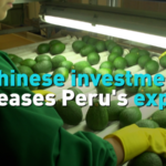 Chinese Investment Fuels Peru's Export Boom in 2025 🌏📈 video poster