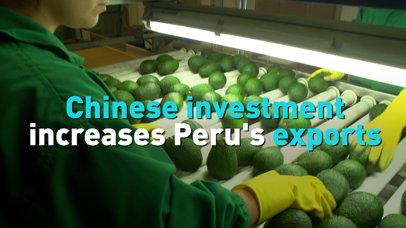 Chinese Investment Fuels Peru's Export Boom in 2025 🌏📈 video poster