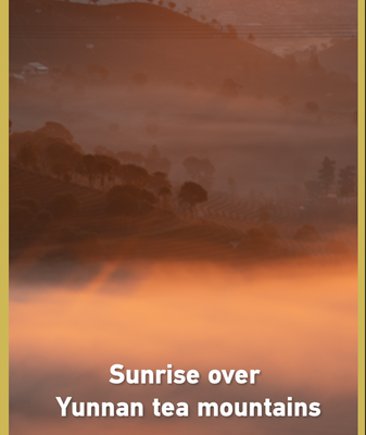 Sunrise Serenity: Yunnan’s Tea Mountains Glow for Lunar New Year 🌄🍵 video poster