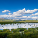 China Ranks 4th Globally in Wetland Conservation 🌍🏞️ video poster