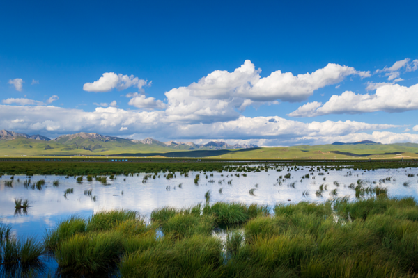 China Ranks 4th Globally in Wetland Conservation 🌍🏞️ video poster