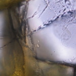 8EXOB5P8T7NY9WVHZ83S - 🌍NewspaperAmigo – Your Global News Buddy 🗞️ China's Hydrogen Breakthrough Sparks Clean Energy Hopes 🌱💧