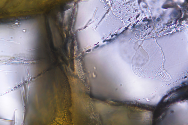 China's Hydrogen Breakthrough Sparks Clean Energy Hopes 🌱💧