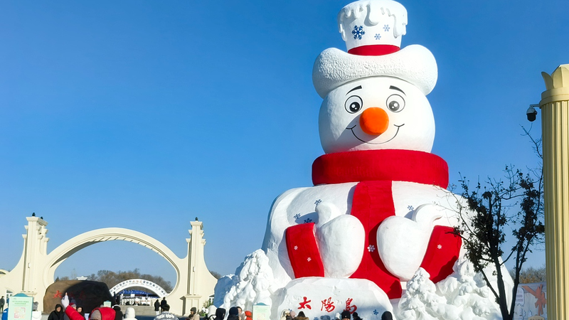 Harbin's Giant Snow Sculpture Lights Up Winter Festival 🎇❄️ video poster