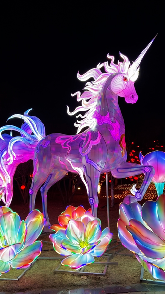 AI Meets Tradition: Spring Festival Lanterns Light Up 2026 🏮✨ video poster