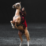 Akhal-Teke Horses: Silk Road Icons Gallop Through History 🐎✨