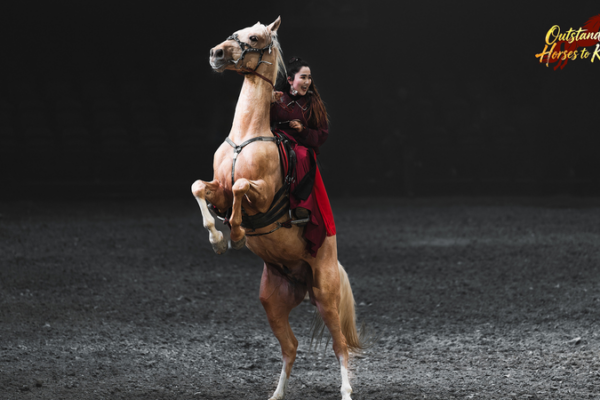 Akhal-Teke Horses: Silk Road Icons Gallop Through History 🐎✨