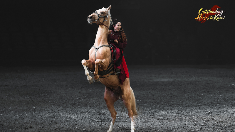 Akhal-Teke Horses: Silk Road Icons Gallop Through History 🐎✨