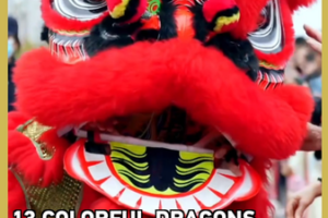 13 Dragons Light Up Sichuan in Cultural Spectacle 🐉✨ video poster