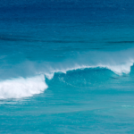 UNESCO Warns Ocean Carbon Gaps Threaten Climate Goals 🌊📉