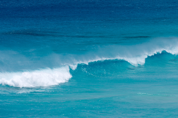 UNESCO Warns Ocean Carbon Gaps Threaten Climate Goals 🌊📉