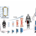 9E3F6ASXS4ZXGNDYGBK7 - 🌍NewspaperAmigo – Your Global News Buddy 🗞️ Meet GrowHR: China's Lightweight, 'Growable' Robot Redefining Home Helpers 🏡🤖