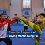Rooted to Strike: Praying Mantis Kung Fu’s Legwork Secrets 🦿✨ video poster