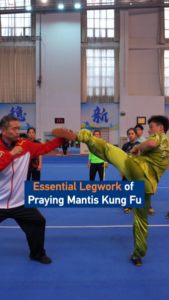 Rooted to Strike: Praying Mantis Kung Fu’s Legwork Secrets 🦿✨ video poster