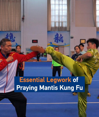 Rooted to Strike: Praying Mantis Kung Fu’s Legwork Secrets 🦿✨ video poster