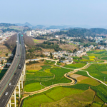 China’s Rural Revamp: Solar Sheep & Sustainable Growth 🌱🐑