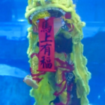 Guangzhou Aquarium Merges Lion Dance & Dunhuang Art in Stunning Underwater Show 🦁💧 video poster