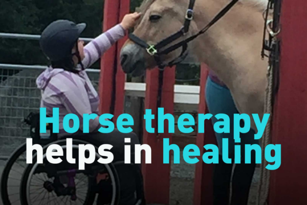 Horse Therapy Gallops into Healing Hearts and Minds 🐎💖 video poster