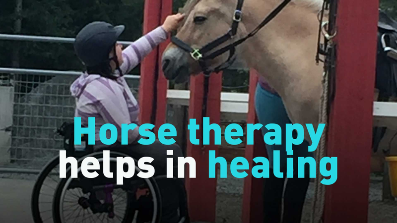 CD19QLPEXKXLOBML7C6K - 🌍NewspaperAmigo – Your Global News Buddy 🗞️ Horse Therapy Gallops into Healing Hearts and Minds 🐎💖 video poster