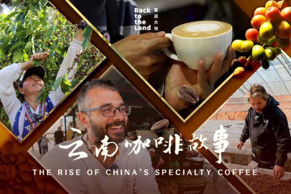 From Tea to Coffee: Yunnan’s Brewing Revolution Takes Over 2026 🌱☕ video poster