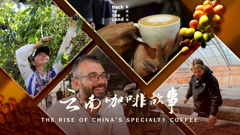 From Tea to Coffee: Yunnan’s Brewing Revolution Takes Over 2026 🌱☕ video poster
