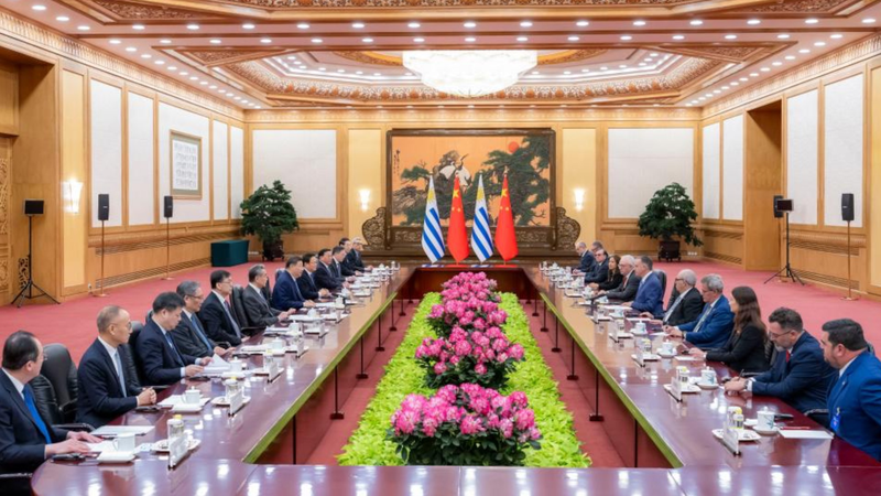 Xi Jinping Hails Uruguay's Orsi as 'Good Friend of Chinese People' 🌏 video poster