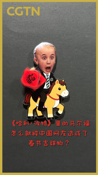 Draco_Malfoy_s_Lucky_Charm__How_a_Harry_Potter_Villain_Became_China_s_2026_Zodiac_Star video poster