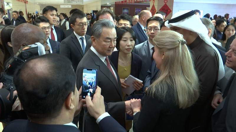 Global Envoys Share 2026 Vision at China's Diplomatic Reception 🌐✨ video poster