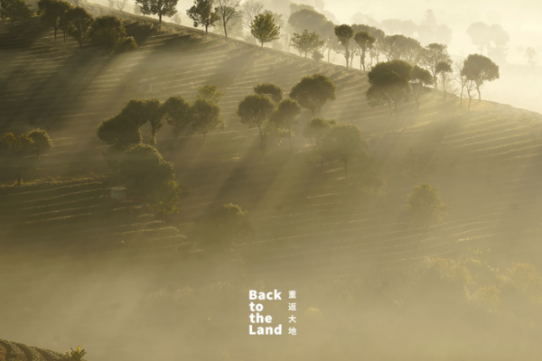 Winter Sunrise Magic in Yunnan's Pu'er Tea Region 🌄🍵