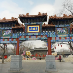 From Page to Palace: 'Dream of Red Chamber' Captures Gen Z Imagination 🌸🎥 video poster