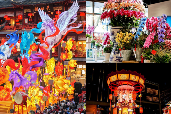 Shanghai Gallops into 2026 with Lunar New Year Magic 🐎✨ video poster