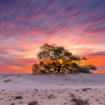 EZ1UQB2BHRS6JJ2N5L2S - 🌍NewspaperAmigo – Your Global News Buddy 🗞️ China Launches Global Plant Genome Project to Tackle Food Security & Climate 🌱🌍