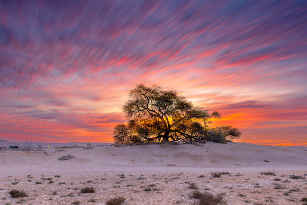 China Launches Global Plant Genome Project to Tackle Food Security & Climate 🌱🌍