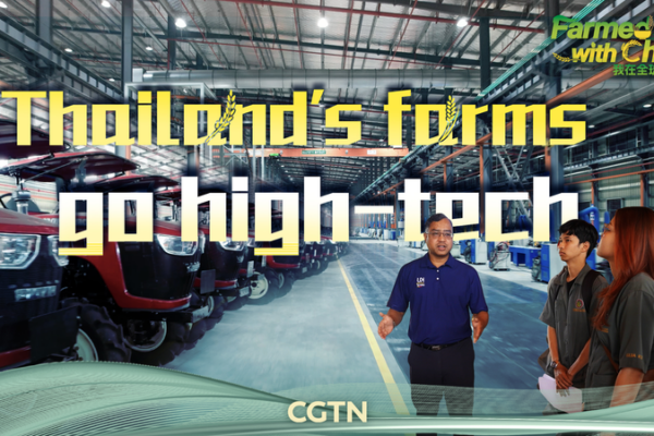 🌱🤖 Thailand's Tech-Driven Farming Boom: How China Collaboration is Fueling Growth video poster