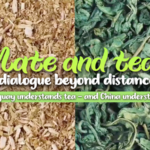 FU2HBLFXLKE74AHGGG7E - 🌍NewspaperAmigo – Your Global News Buddy 🗞️ Mate Meets Tea: Bridging Cultures Between China & Uruguay 🌍🍵 video poster