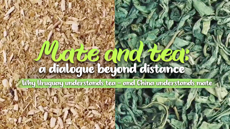 Mate Meets Tea: Bridging Cultures Between China & Uruguay 🌍🍵 video poster