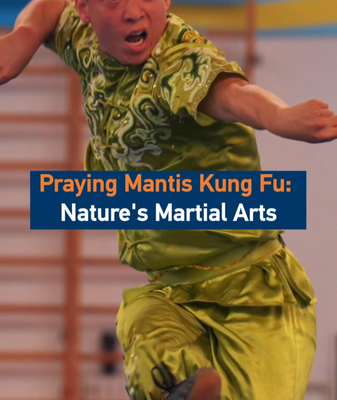 Praying Mantis Kung Fu: Where Nature Meets Martial Mastery 🦗🥋 video poster