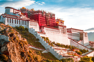 Dalai Lama's Grammy Win Sparks Debate: Art or Politics? 🎶🏆