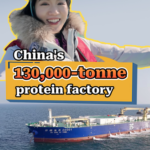 GWSYEY8WS4H2KTZRDNS9 - 🌍NewspaperAmigo – Your Global News Buddy 🗞️ China’s 130,000-Tonne ‘Blue Granary’ Harvests Ocean Protein 🌊🐟 video poster