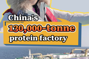 China’s 130,000-Tonne ‘Blue Granary’ Harvests Ocean Protein 🌊🐟 video poster
