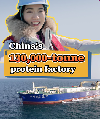 China’s 130,000-Tonne ‘Blue Granary’ Harvests Ocean Protein 🌊🐟 video poster
